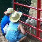 HS-2007_banner_100_2056