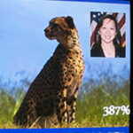 CROP-HS-2008_sq_100_1309