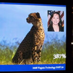 HS-2008_sq_100_1309