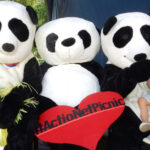Panda_carou_picnic2017