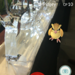 SPARCequePokemonSighting