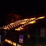 rfl2010-8