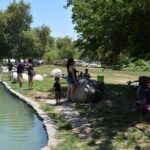CAPicnic5