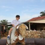 Texas14