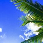 hawaii-2700190_1280