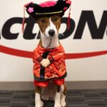ActioNet Dog for Lunar New Year