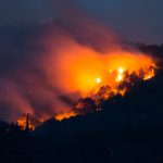 ActioNet-Sponsors-Hawaii-Wildfires-Fund-Drive