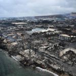 ActioNet-Sponsors-Hawaii-Wildfires-Fund-Drive-2