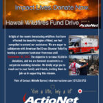 ActioNet Sponsors Hawaii Wildfires Fund Drive (3)